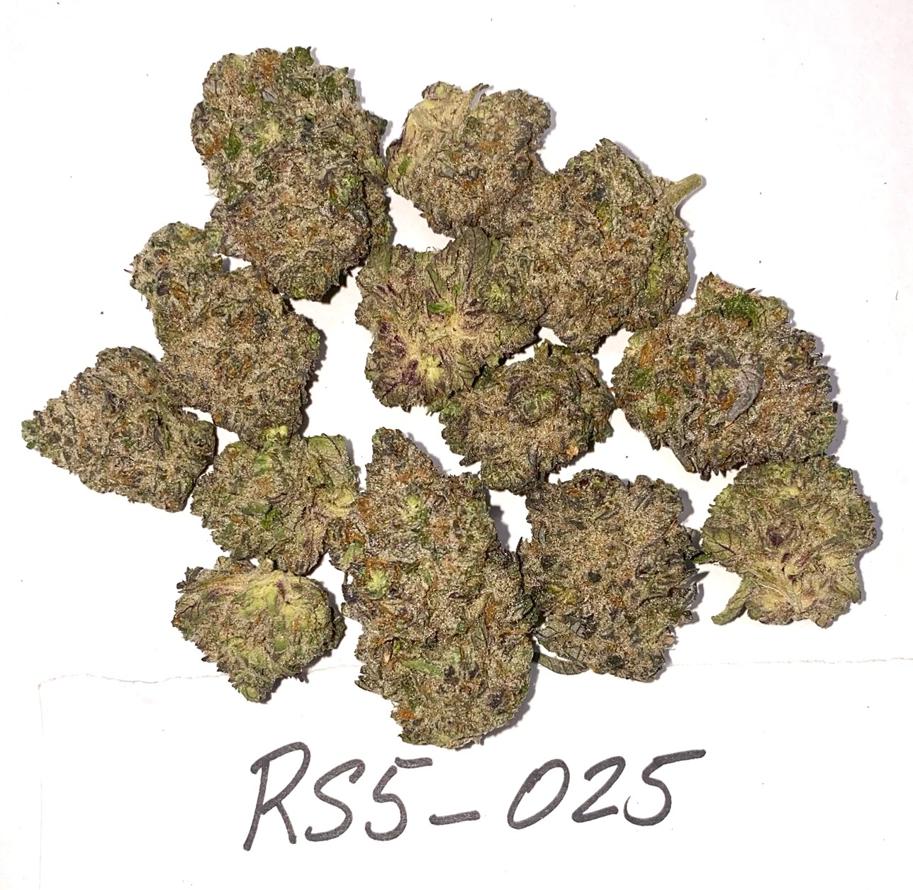 RS5 — Sunset Sherbert × Pink Guava 0025 (20 lbs.) product image