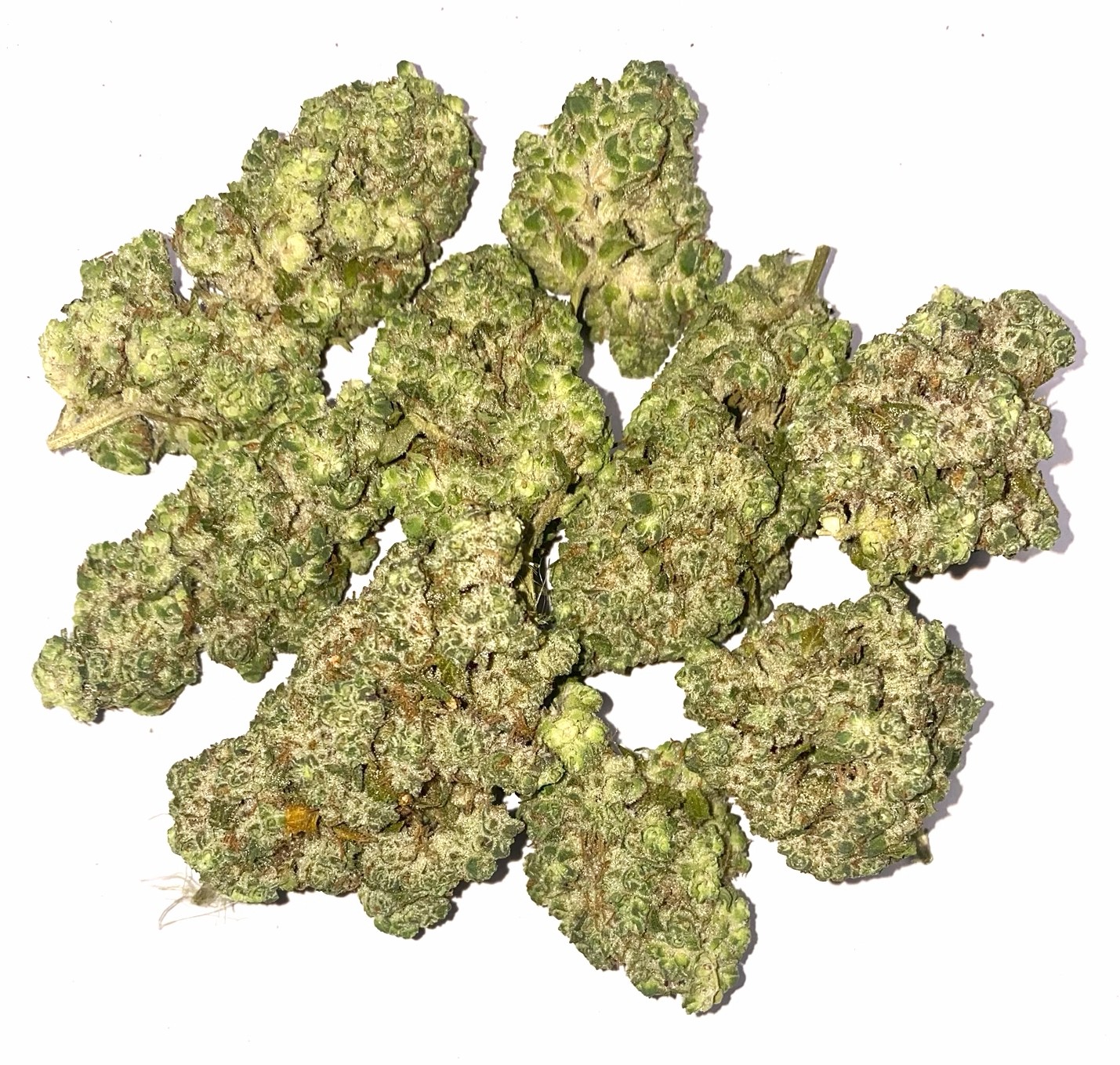 Black Gummiez #2 (12.8 lbs.) product image