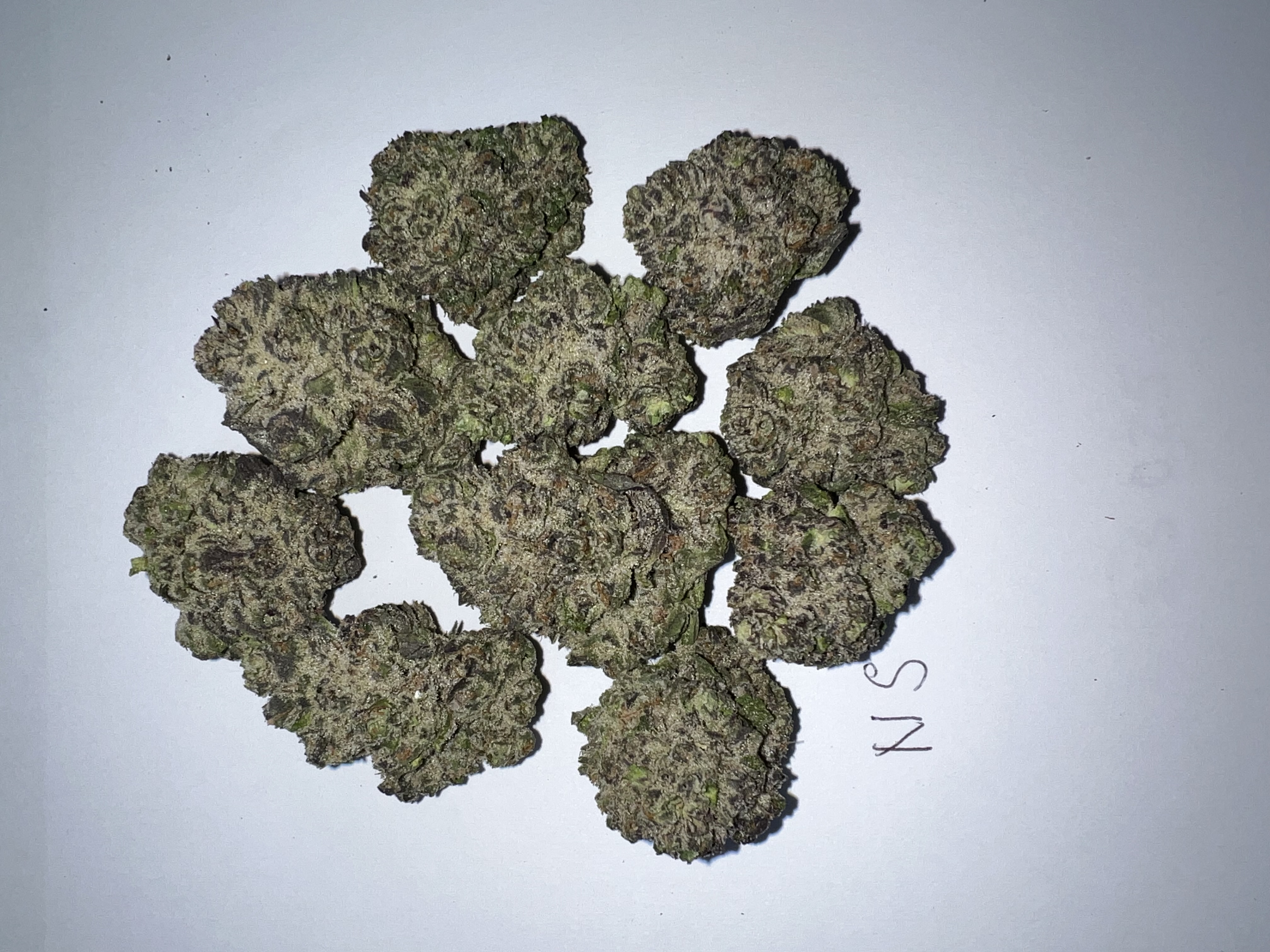Nuclear Slurpee 0020 (20 lbs.) product image