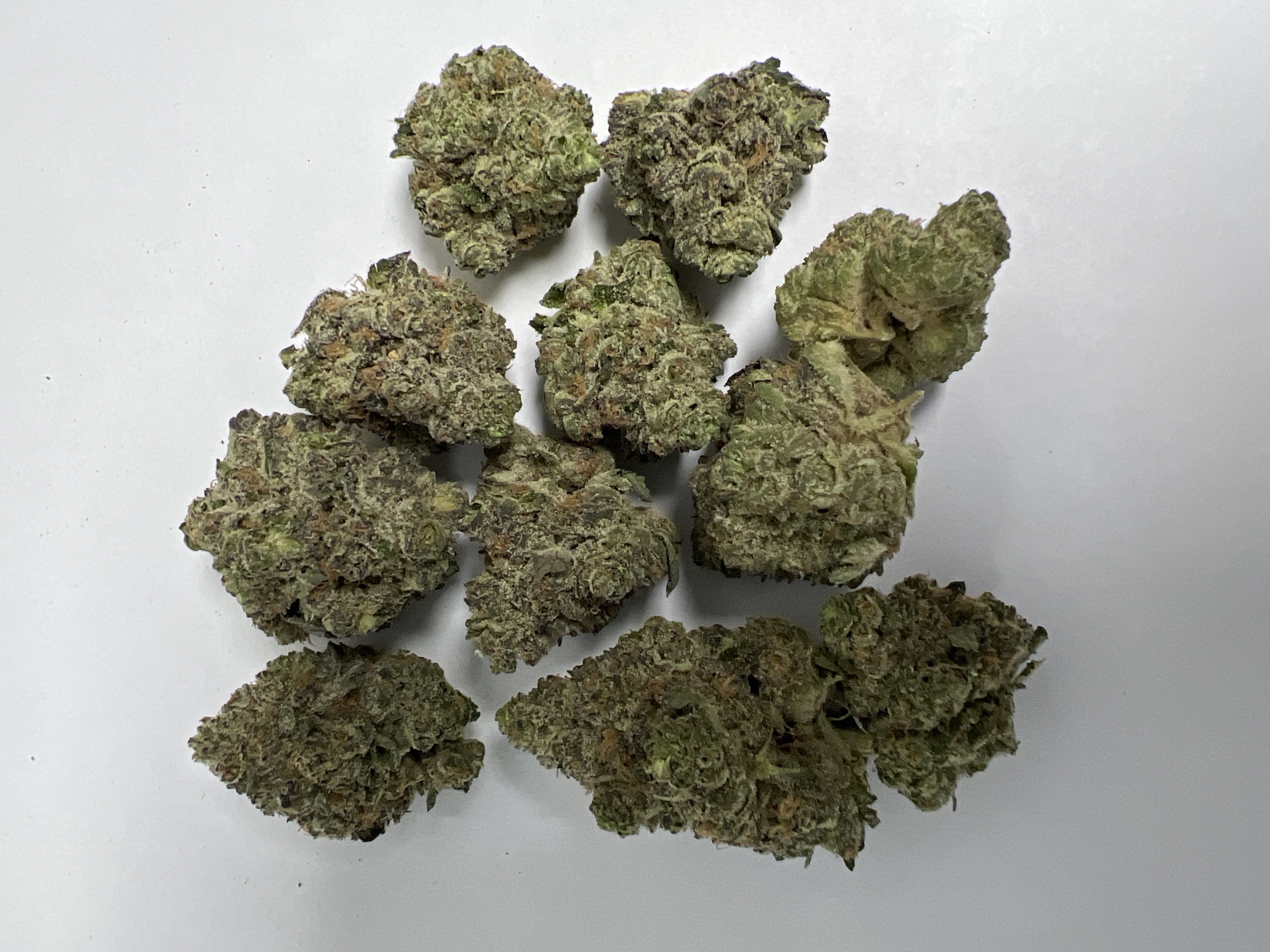 RS5 — Sunset Sherbert × Pink Guava 0025 (20 lbs.) product image