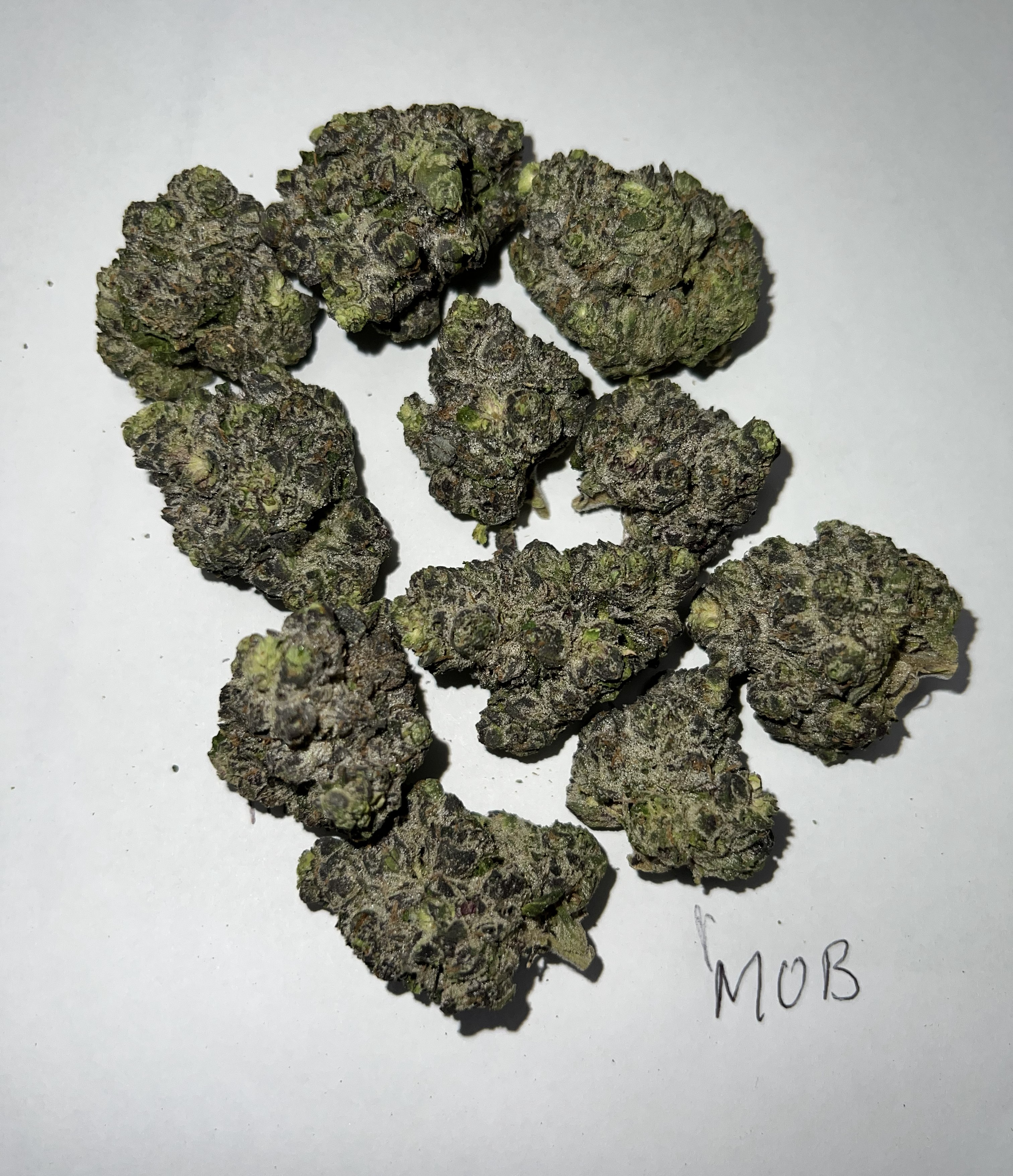 Money Over Bitches 0021 (20 lbs.) product image